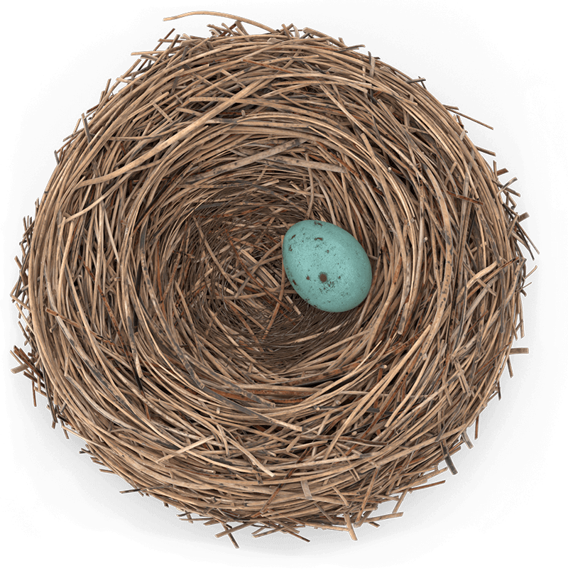 Bird_Nest_V2